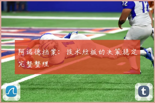 阿诺德档案：技术短板的决策稳定完整整理