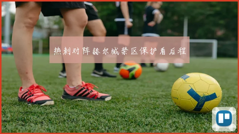 热刺对阵赫尔城禁区保护看后程