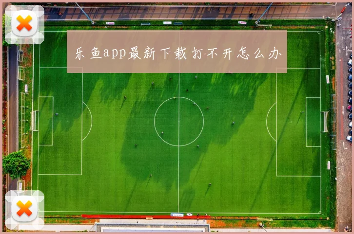 乐鱼app最新下载打不开怎么办